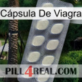 Cápsula De Viagra 08